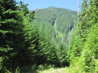 Wonder Mtn south slope. Ascent treed rib between the two streams, right of center.