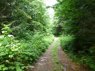 Depote Creek road/trail