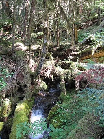 Soleduc river trail