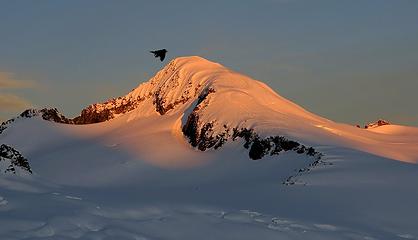 The Morning Raven of Eldorado Peak