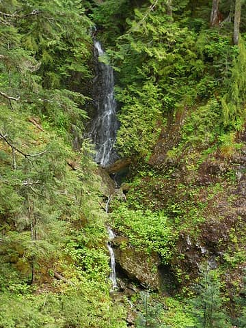 Waterfall visible from the trail along the Wynoochee side