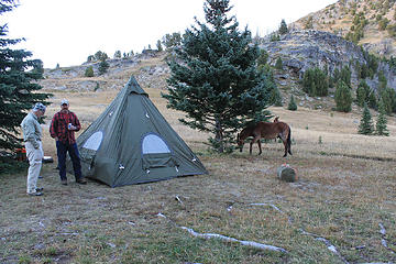 sharing camp below sunny pass with horse packers
