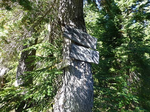 Junction of Icicle Creek and Whitepine trails