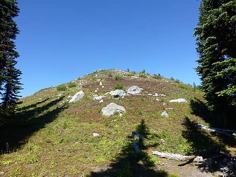 This is the summit of Doughkid