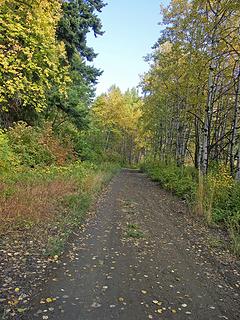 Pleasant fall road walk.
