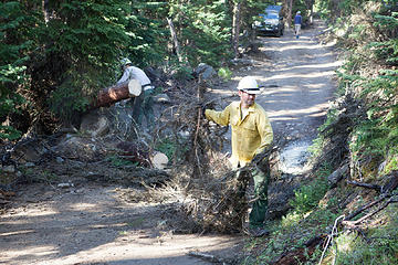 The Forest Service at work