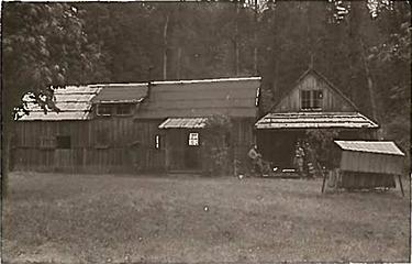 Smith Place - Queets Valley - 1930s - View east of Smith Place. Smith addition on right. Shaube homestead cabin center. Structure left of metal chimney Smith addition. photo courtesy S. Martinson