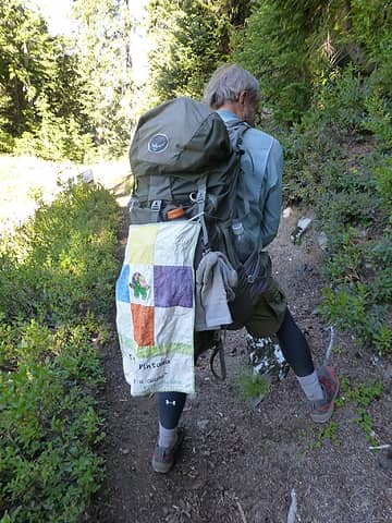 PCT-Turtle looking strong