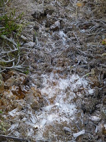 Ice crystals on the trail as we head down from the Bulls Tooth ridge