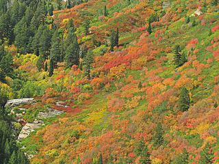 Autumn in Ogden valley