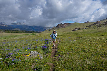 Along the trail to Arrow Pass