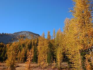 Seance and larches