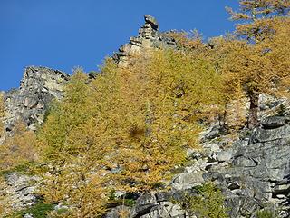 Balanced rock and larches