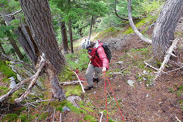 Using a hand line to descend 30' of steep duff and avoid the ridge scramble