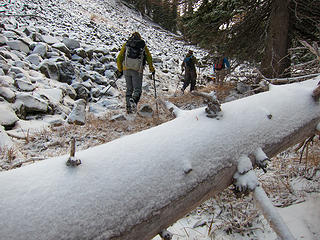Log across the trail