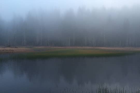 Eerie Beaver Plant Lake