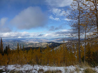 Walking the Beehive-Liberty Rd looking north/northeast - still lots o' larches!