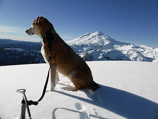 Liesl admiring the view at the summit of Mt. Ann with Mt. Baker in the background