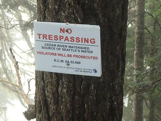 Big Brother is watching you! These signs were on every other tree. I must have passes at least 100 on Tinkham.