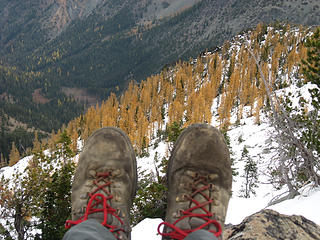 Boots and larches