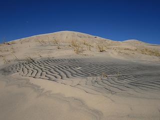 Kelso Dune grains