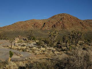 Mojave National Preserve, Teutonia Peak Trail