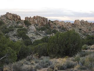 Mojave Wilderness, CA.  Mojave National Preserve