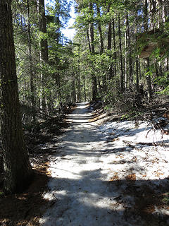 The Squilchuck Trail from Mission Ridges parking lot to the plateau was mainly compact ice.