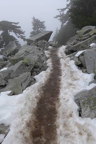 Interesting trail...not dirt, not snow