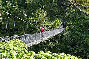 Falls River swing bridge on the Abel Tasman trek