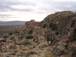Mojave Wilderness, Mojave National Preserve