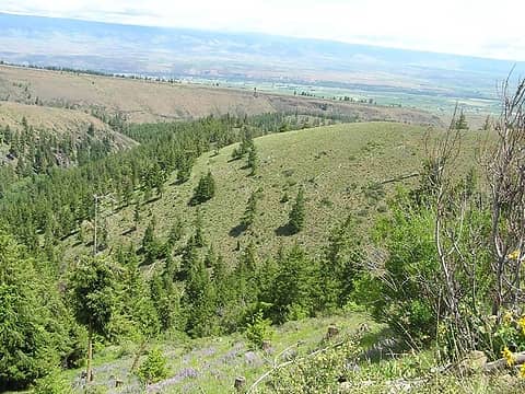 Looking towards Kittitas Valley - a trail in the center of pic on the mound in front of us is where we would wind up on our way back out of the Canyon area