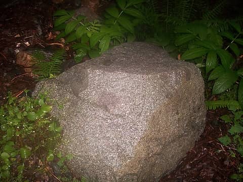 A rock that I thought was green.JPG  :shakehead: