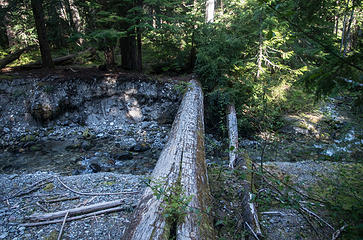 Decaying foot log crossing Gamma Creek