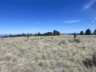 Large wide open plateau of Dick Mesa.
