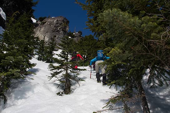 Heading up the tree filled gully