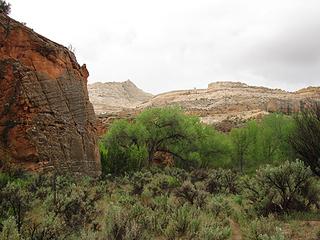 Navajo sandstone appears
