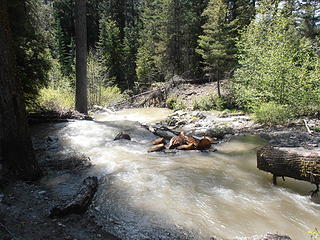 Full creek