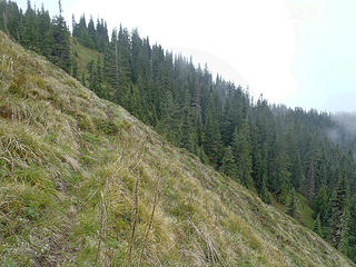 Dixon upper slopes in view