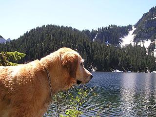 Sadie at Fisher Lake