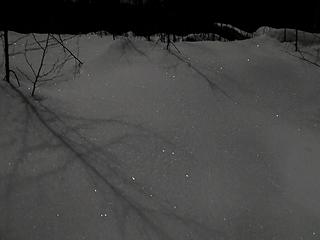 Moonlit diamonds in the snow