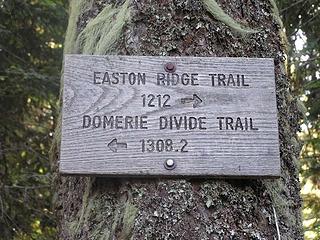On to the Domerie Divide Trail and Bald Mtn.