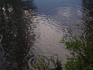 Ripples from raindrops in a tarn