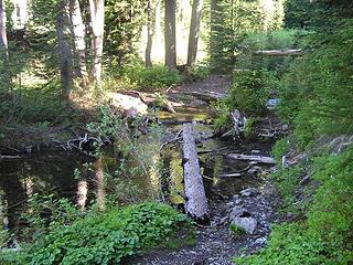 Log crossing on the way into Commonwealth Basin