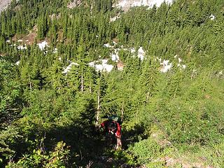 Hiker Jim bushwhacking his way up the lower part of the slope