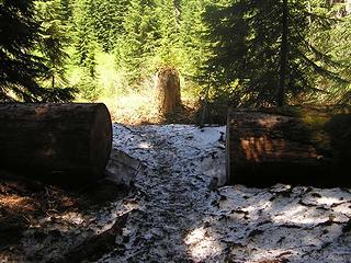 Last of snow on Commonwealth Basin trail (much more snow on the old Cascade trail)