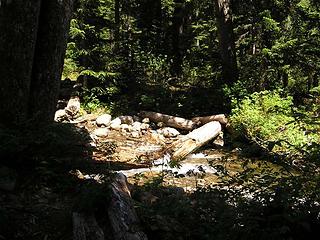 Log crossing on Old Cascade trail