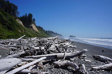 Driftwood (between Ruby Beach and Hoh outlet)