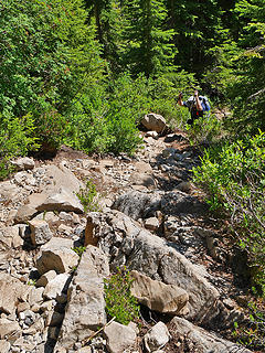 John on typical trail. 
Gothic Basin, WA 06/20/15
