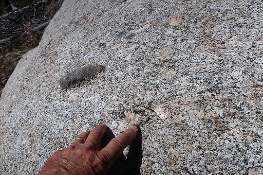 Beautiful coarse granite with large feldspar crystals and dark xenoliths, which are inclusions of other rock contained by the granite magma